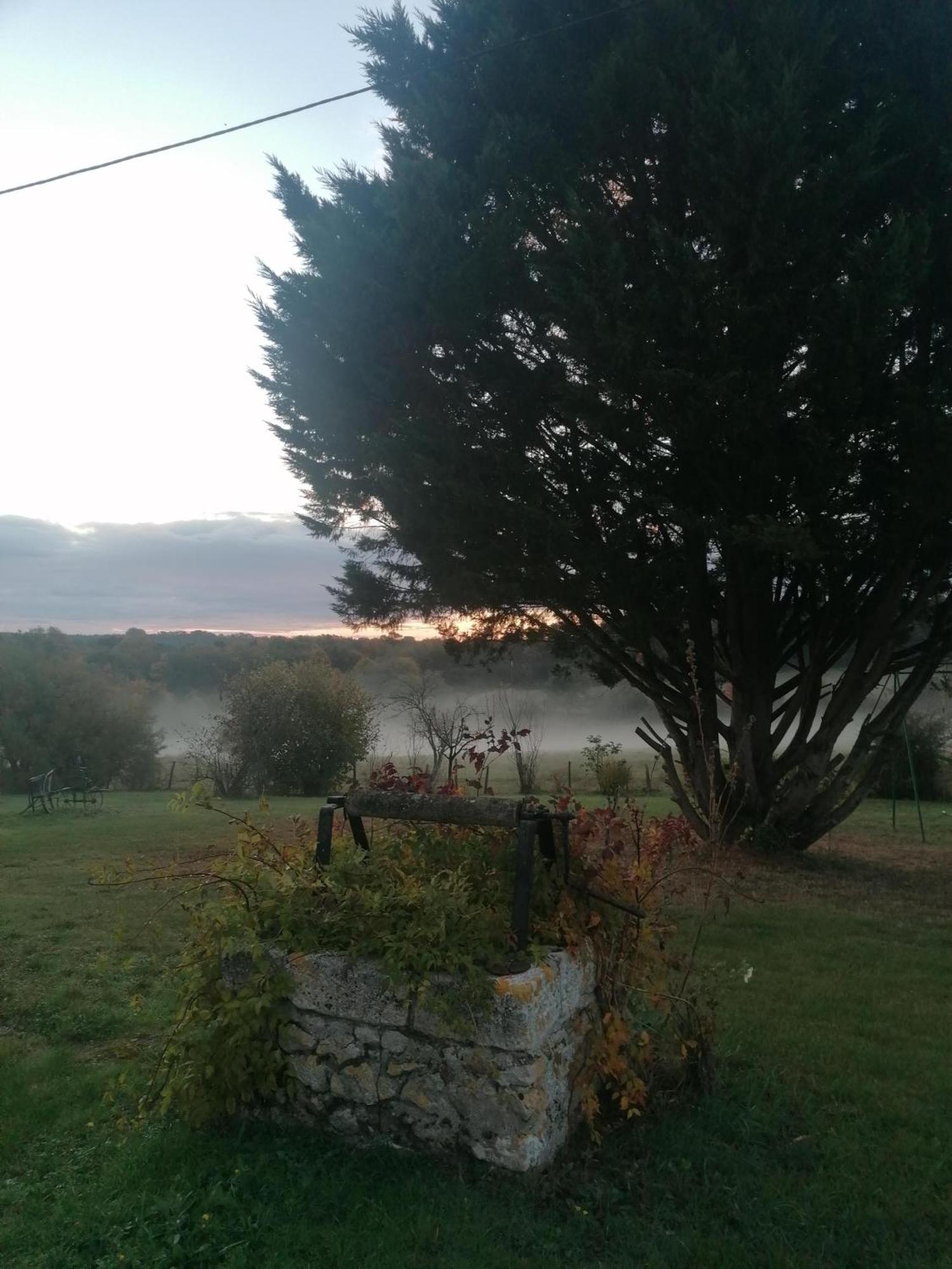 Gite 4 Pers, Jacuzzi, Piscine, Proche Futuroscope, Calme Et Nature A La Roche Posay La Roche-Posay Esterno foto
