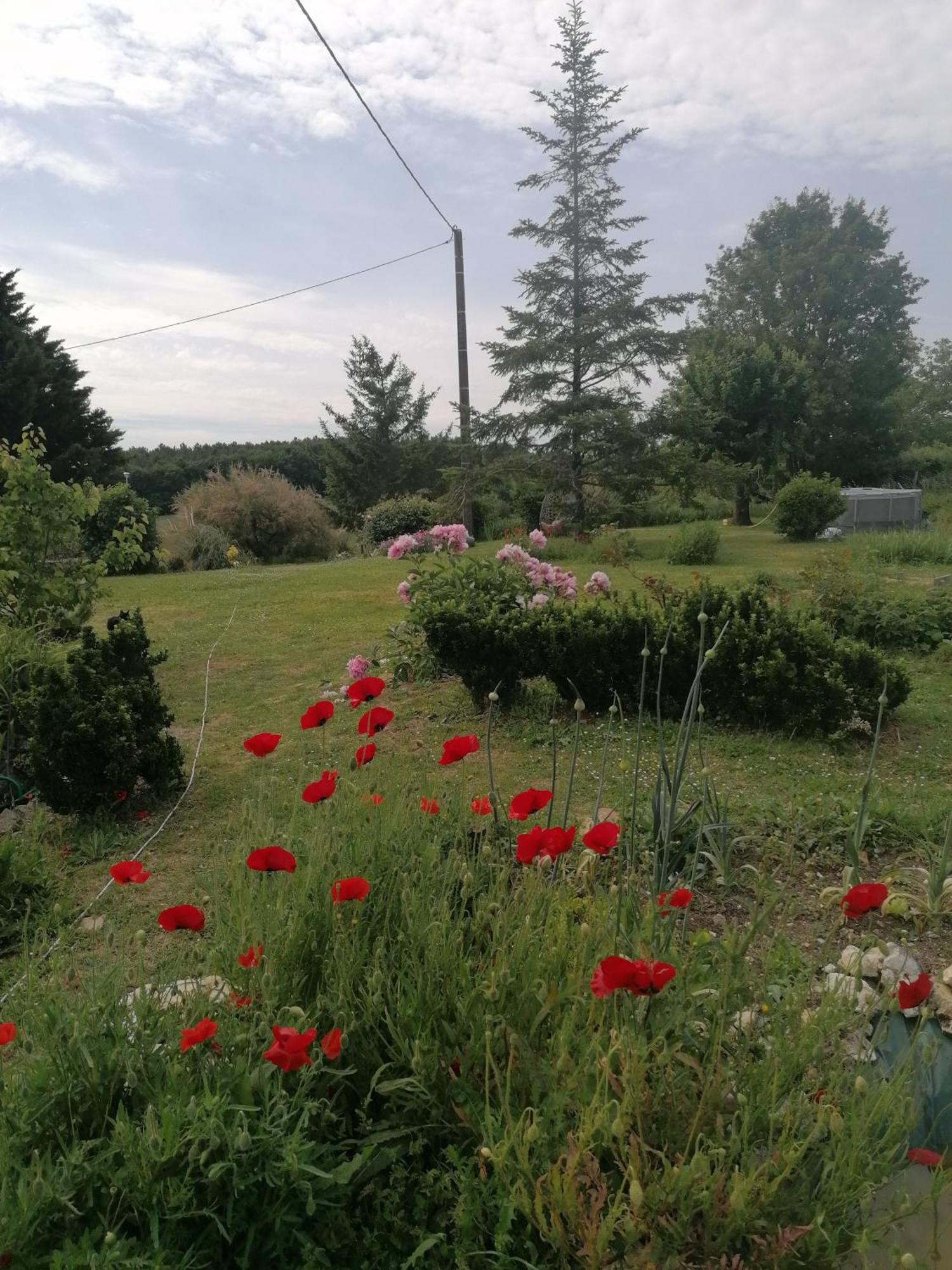 Charmante Maison, Calme Et Nature A La Roche Posay Villa Esterno foto