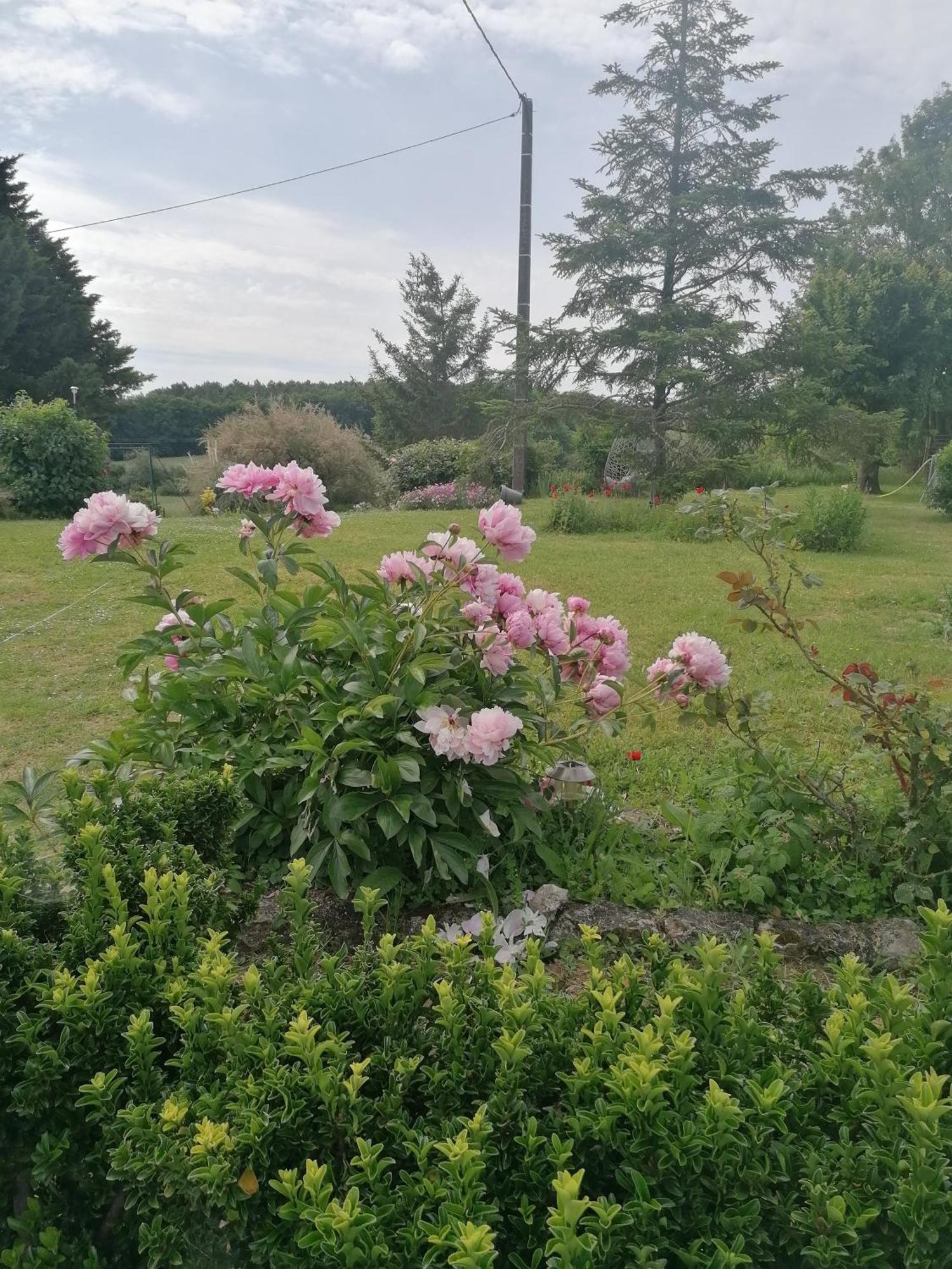 Charmante Maison, Calme Et Nature A La Roche Posay Villa Esterno foto