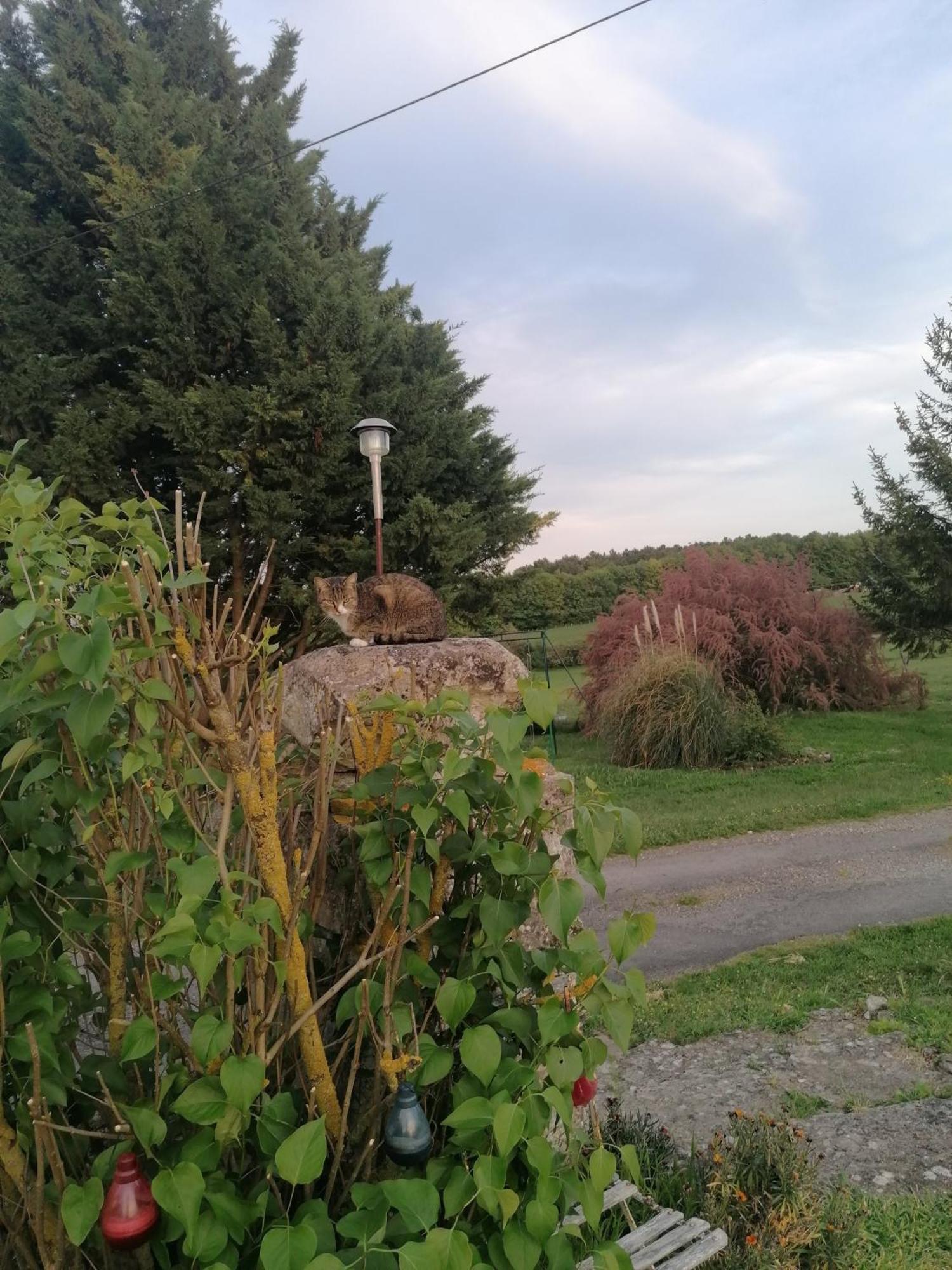 Charmante Maison, Calme Et Nature A La Roche Posay Villa Esterno foto