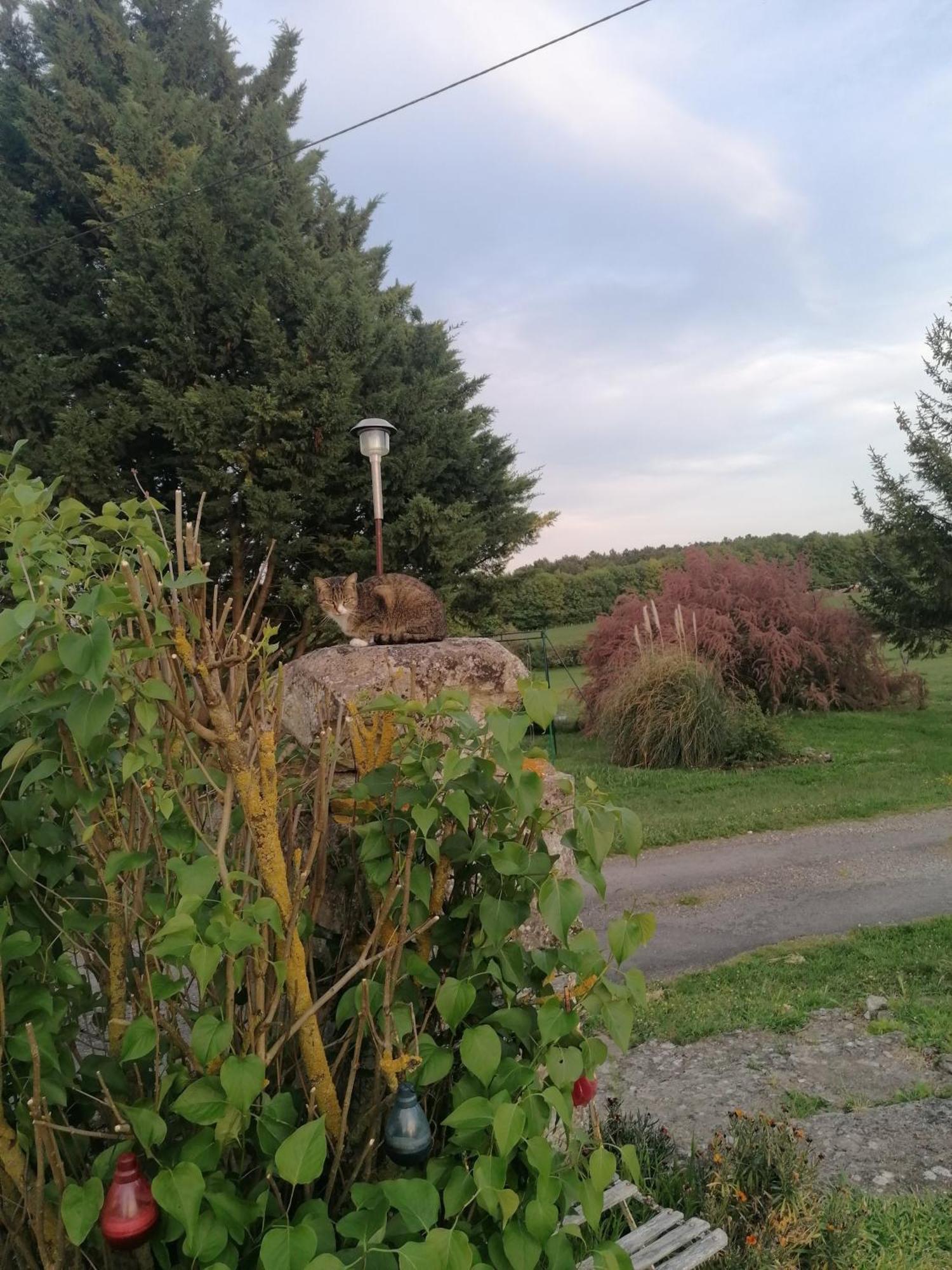 Gite 4 Pers, Jacuzzi, Piscine, Proche Futuroscope, Calme Et Nature A La Roche Posay La Roche-Posay Esterno foto