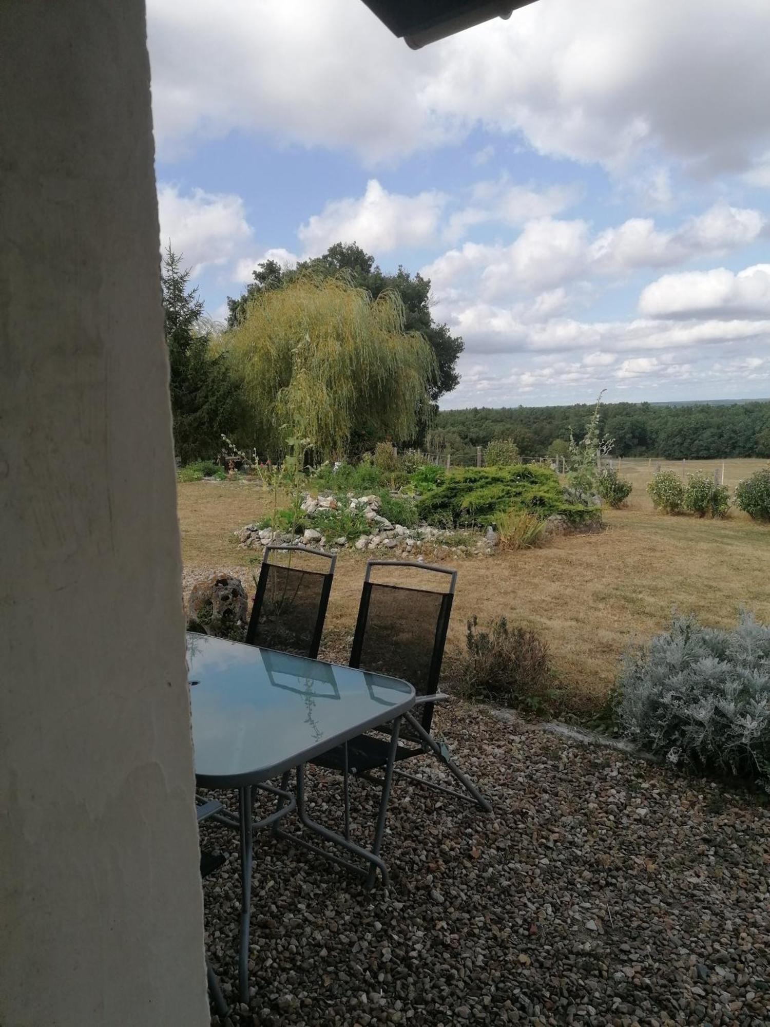 Gite 4 Pers, Jacuzzi, Piscine, Proche Futuroscope, Calme Et Nature A La Roche Posay Esterno foto