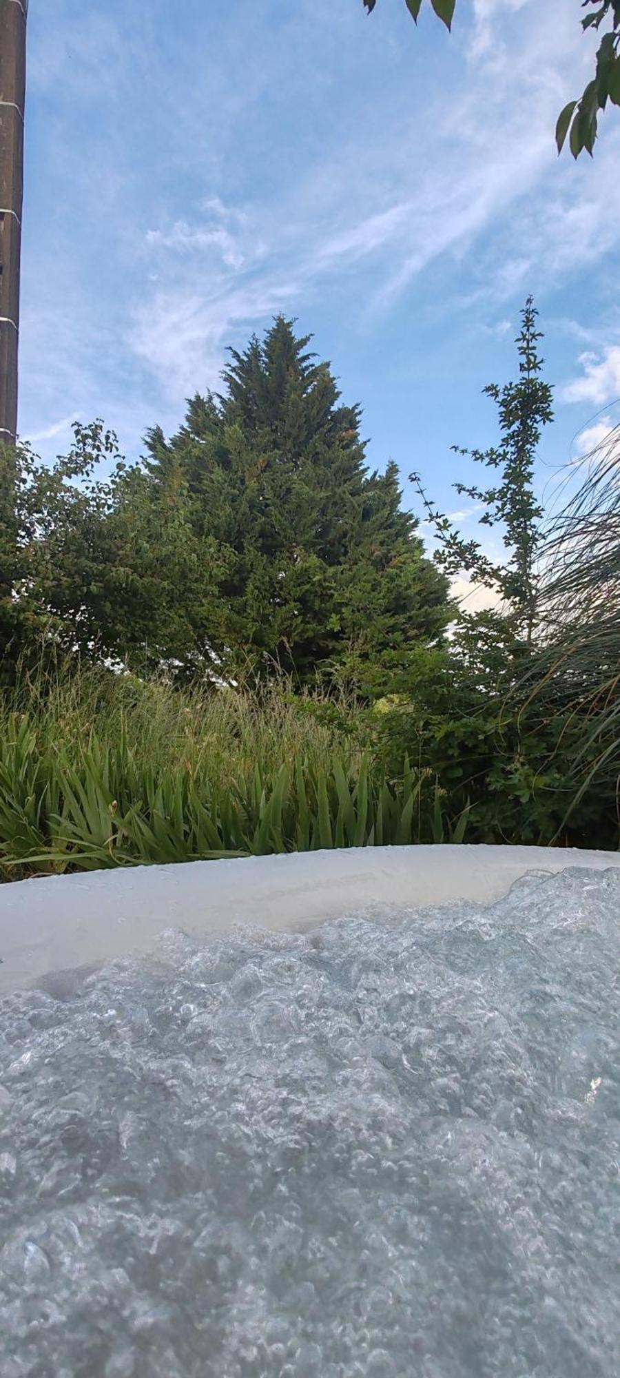 Gite 4 Pers, Jacuzzi, Piscine, Proche Futuroscope, Calme Et Nature A La Roche Posay Esterno foto
